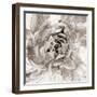 Cereus Aeonium - Fawn-Tania Bello-Framed Giclee Print