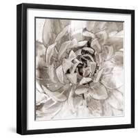 Cereus Aeonium - Fawn-Tania Bello-Framed Giclee Print