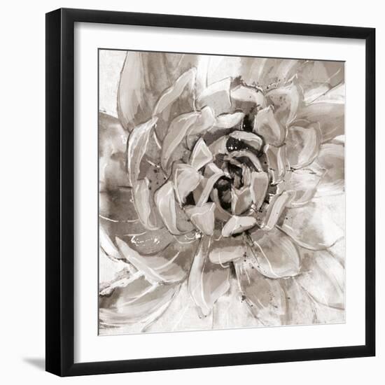 Cereus Aeonium - Fawn-Tania Bello-Framed Giclee Print