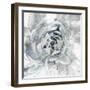Cereus Aeonium-Tania Bello-Framed Giclee Print