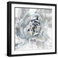 Cereus Aeonium-Tania Bello-Framed Giclee Print