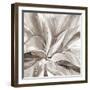 Cereus Aloe - Fawn-Tania Bello-Framed Giclee Print