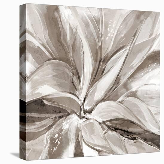 Cereus Aloe - Fawn-Tania Bello-Stretched Canvas