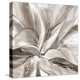 Cereus Aloe - Fawn-Tania Bello-Stretched Canvas