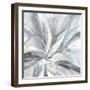 Cereus Aloe-Tania Bello-Framed Giclee Print