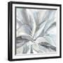 Cereus Aloe-Tania Bello-Framed Giclee Print