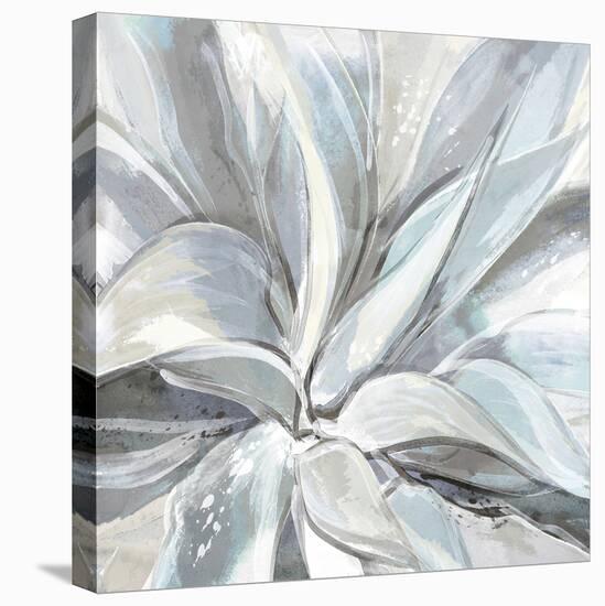 Cereus Aloe-Tania Bello-Stretched Canvas