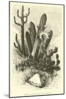 Cereus Cadelaris and Opuntia-Édouard Riou-Mounted Giclee Print