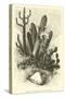 Cereus Cadelaris and Opuntia-Édouard Riou-Stretched Canvas