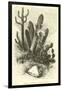 Cereus Cadelaris and Opuntia-Édouard Riou-Framed Giclee Print