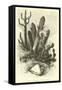 Cereus Cadelaris and Opuntia-Édouard Riou-Framed Stretched Canvas