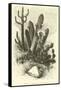 Cereus Cadelaris and Opuntia-Édouard Riou-Framed Stretched Canvas