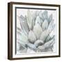 Cereus Echeveria-Tania Bello-Framed Giclee Print