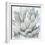 Cereus Echeveria-Tania Bello-Framed Giclee Print