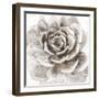 Cereus Sempervivum - Fawn-Tania Bello-Framed Giclee Print