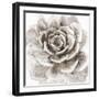 Cereus Sempervivum - Fawn-Tania Bello-Framed Giclee Print