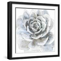 Cereus Sempervivum-Tania Bello-Framed Giclee Print