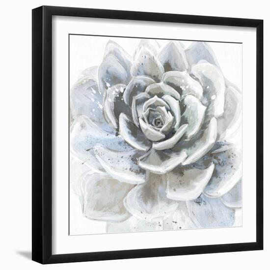 Cereus Sempervivum-Tania Bello-Framed Giclee Print