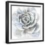 Cereus Sempervivum-Tania Bello-Framed Giclee Print