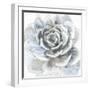 Cereus Sempervivum-Tania Bello-Framed Giclee Print