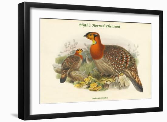 Ceriornis Blythii - Blyth's Horned Pheasant-John Gould-Framed Art Print