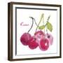 Cerises-Sandra Jacobs-Framed Giclee Print