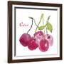 Cerises-Sandra Jacobs-Framed Giclee Print