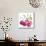 Cerises-Sandra Jacobs-Mounted Giclee Print displayed on a wall