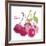 Cerises-Sandra Jacobs-Framed Giclee Print