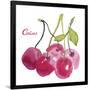 Cerises-Sandra Jacobs-Framed Giclee Print