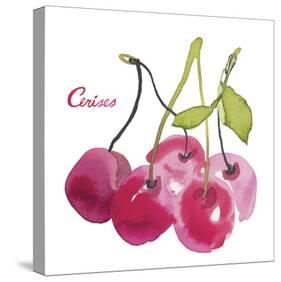 Cerises-Sandra Jacobs-Stretched Canvas