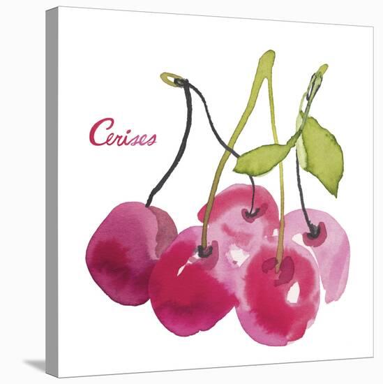 Cerises-Sandra Jacobs-Stretched Canvas