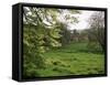 Cerne Abbas, Dorset, England, United Kingdom-J Lightfoot-Framed Stretched Canvas