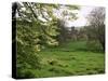 Cerne Abbas, Dorset, England, United Kingdom-J Lightfoot-Stretched Canvas