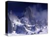 Cerro Fitz Roy, Los Glaciares National Park, Argentina-Gavriel Jecan-Stretched Canvas