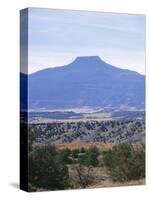 Cerro Pedernal, Rio Arriba County, New Mexico, USA-Michael Snell-Stretched Canvas