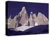 Cerro Torre (3128M) and Torre Egger Peaks, Patagonia, Argentina-Leo & Mandy Dickinson-Stretched Canvas
