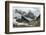 Cerro Torre and Laguna Torre-Tony-Framed Photographic Print