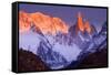 Cerro Torre Cerro Torre at Sunrise-null-Framed Stretched Canvas