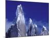 Cerro Torre, Los Glaciares National Park, Argentina-Art Wolfe-Mounted Photographic Print