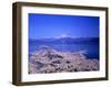 Cerry Blossoms and Lake Tazawa-null-Framed Photographic Print