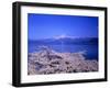 Cerry Blossoms and Lake Tazawa-null-Framed Photographic Print