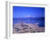 Cerry Blossoms and Lake Tazawa-null-Framed Photographic Print