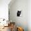 Certosina - Chartreux Cat, Portrait-Adriano Bacchella-Stretched Canvas displayed on a wall