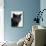 Certosina - Chartreux Cat, Portrait-Adriano Bacchella-Stretched Canvas displayed on a wall