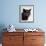 Certosina - Chartreux Cat, Portrait-Adriano Bacchella-Framed Photographic Print displayed on a wall