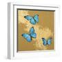 Cerulean Butterfly II-Joanna Charlotte-Framed Art Print