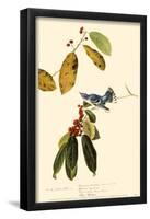 Cerulean Warbler-null-Framed Poster