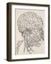 Cerveau, cervelet et nerfs crâniens de l'homme vus de côté-Charles Le Brun-Framed Giclee Print