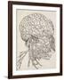 Cerveau, cervelet et nerfs crâniens de l'homme vus de côté-Charles Le Brun-Framed Giclee Print